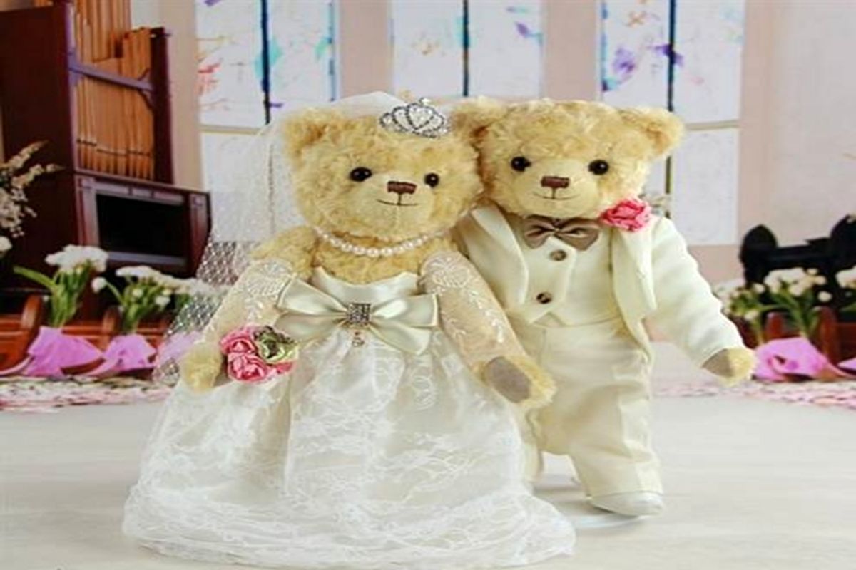 مراسم ازدواج میلیاردی ۲ عروسک! + عکس