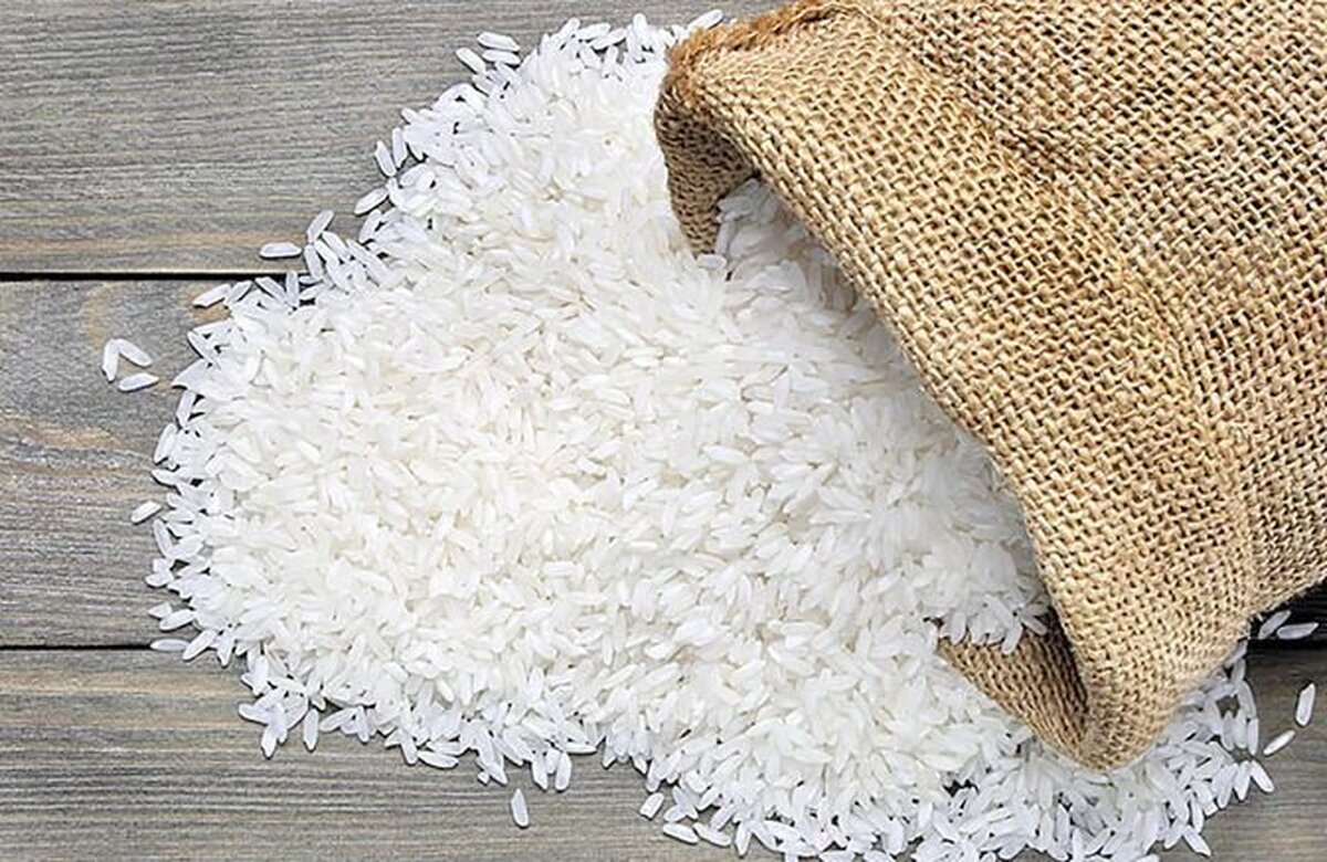 برنامه ای برای تخصیص ارز واردات برنج وجود ندارد؟