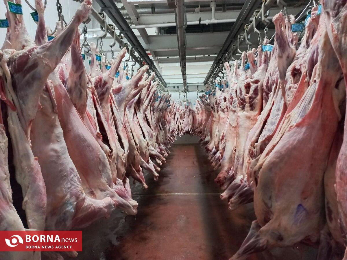 دولت برای تنظیم بازار در سال گذشته ۷۰۰ میلیون دلار گوشت وارد کرد