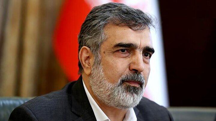 كمالوندي ينفي تجميد  أي اصول للطاقة الذرية الإيرانية في تركيا