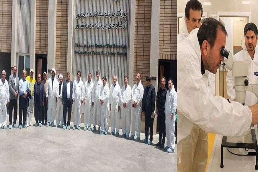 إيران على طريق توطين تقنية إنتاج الأجنة الحيوانية