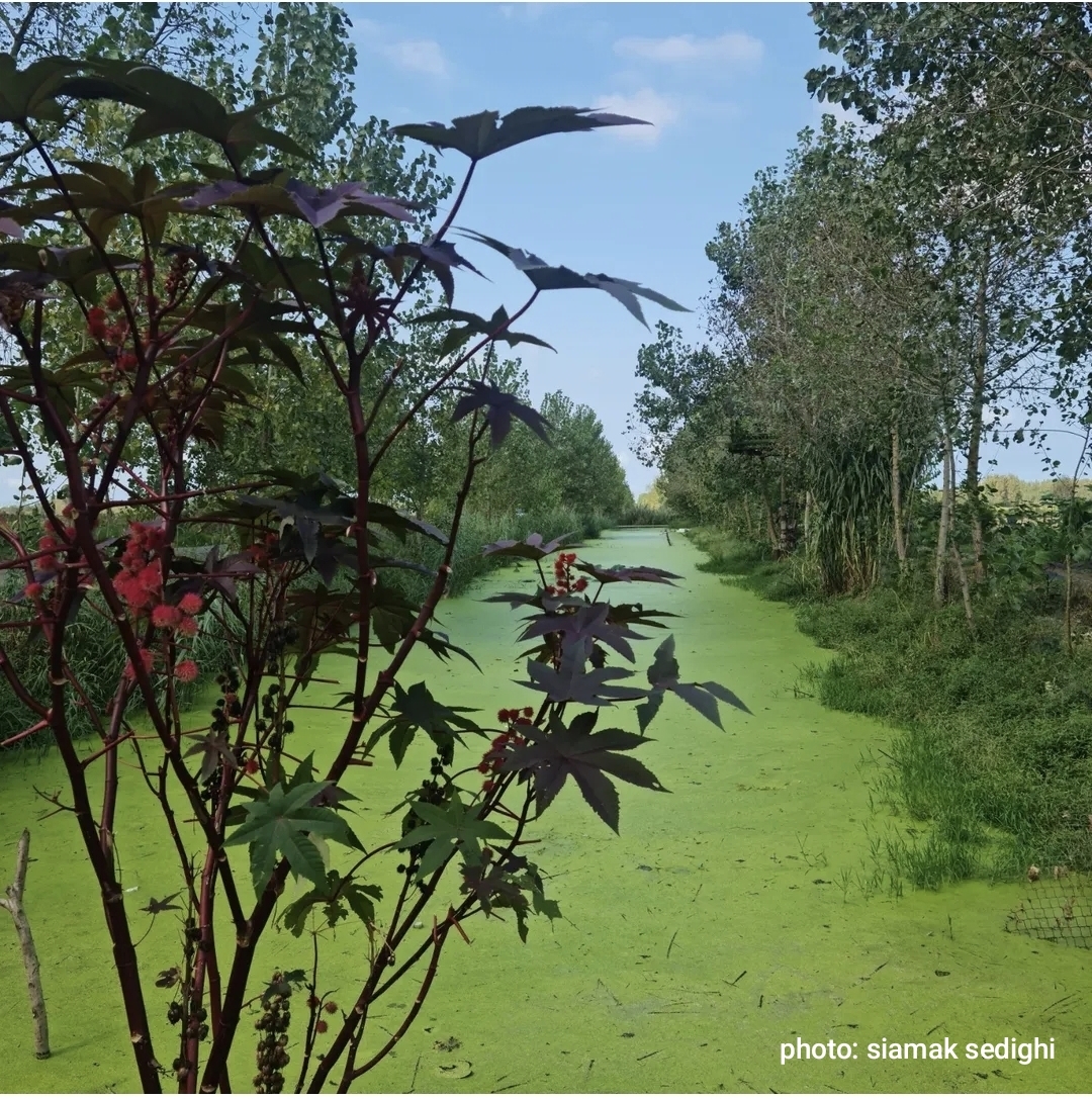 مشاهدة الطبيعة والثقافة والتاريخ على درب بحر الخزر