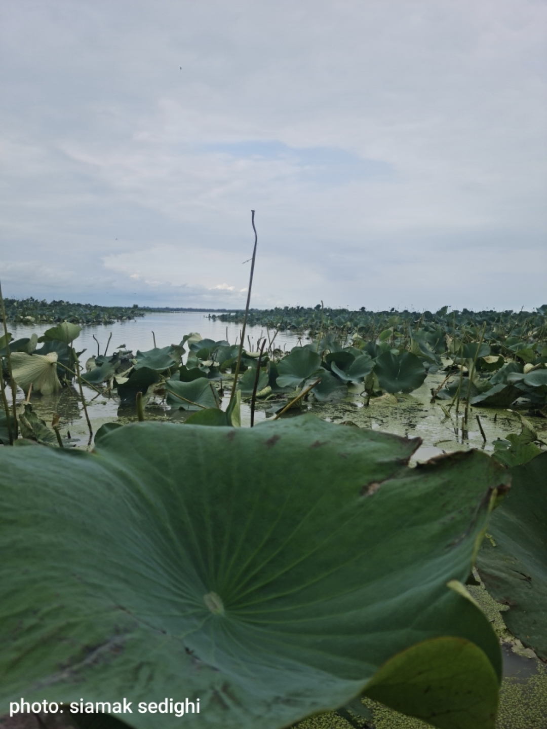 مشاهدة الطبيعة والثقافة والتاريخ على درب بحر الخزر