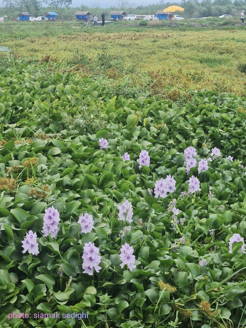 مشاهدة الطبيعة والثقافة والتاريخ على درب بحر الخزر