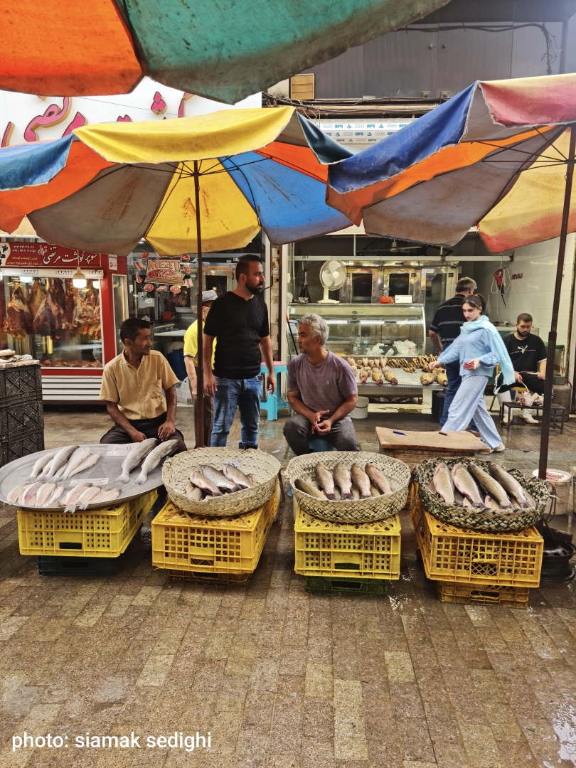 مشاهدة الطبيعة والثقافة والتاريخ على درب بحر الخزر