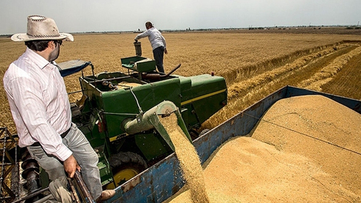 Iran raises guaranteed purchase price for wheat by 40%