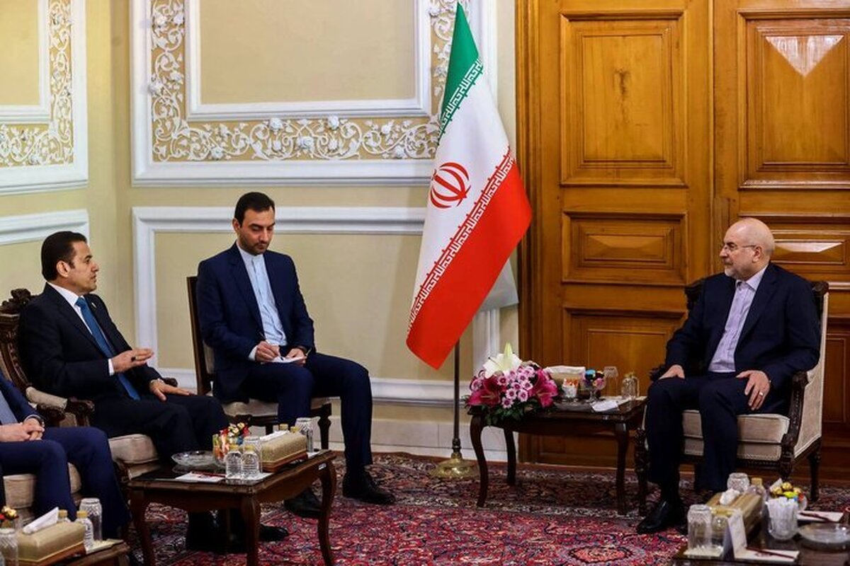 Iran parl. speaker receives Iraq national security advisor