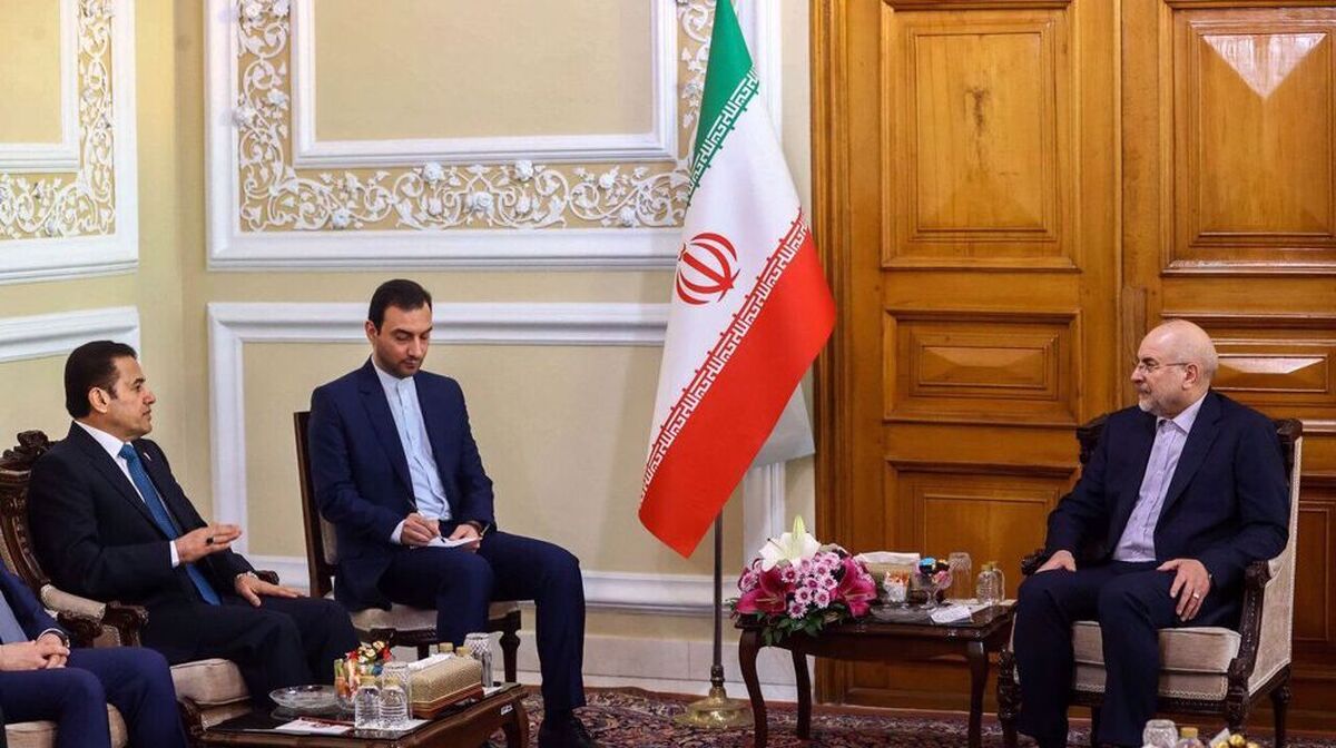 Larijani thanks Russia for support for Tehran at UN Security Council