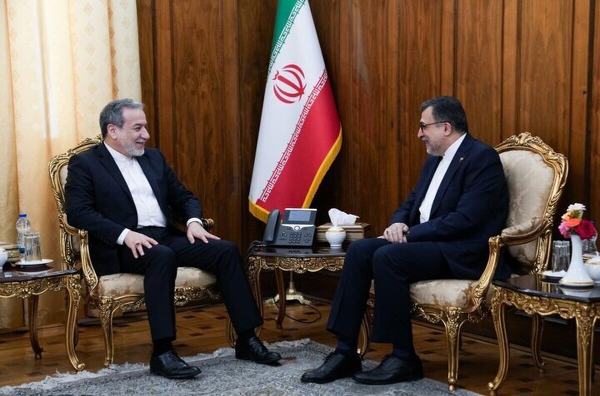 Araghchi urges more OIC role in tackling shared challenges