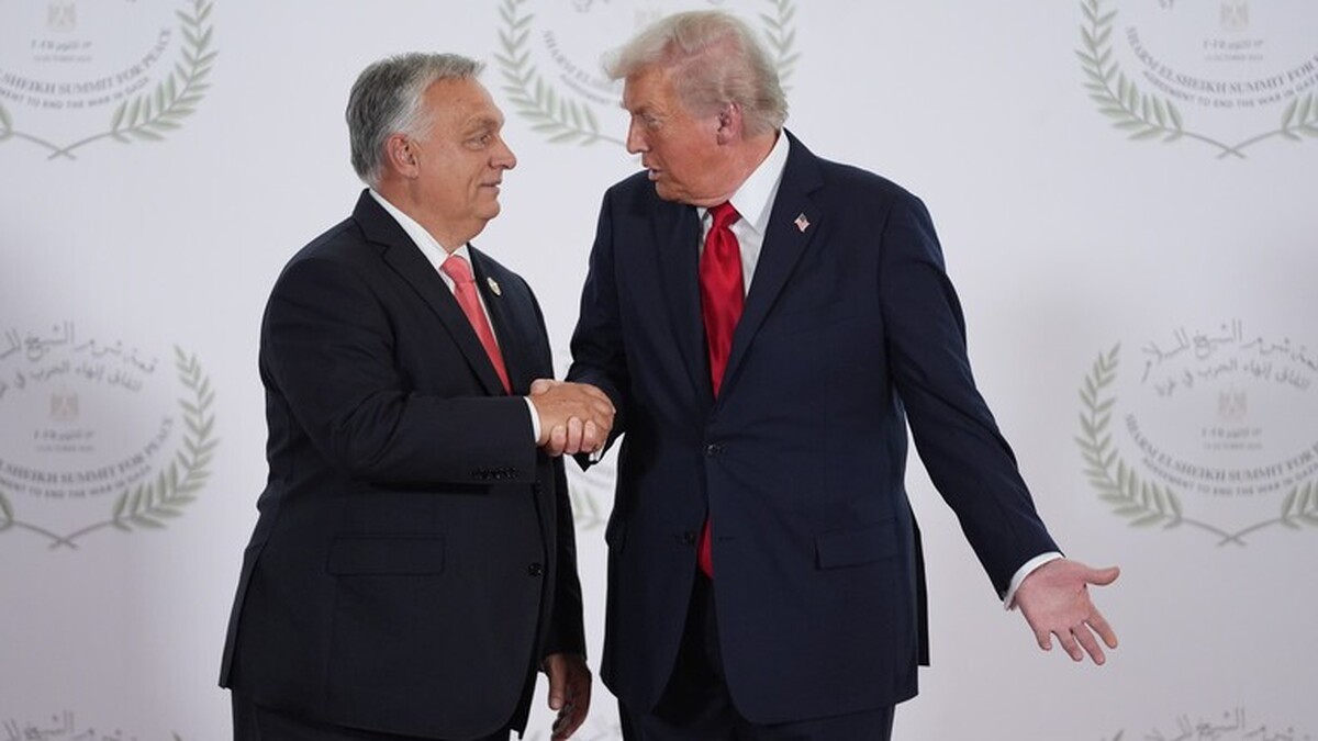 Trump brushes off Hungarian PM’s plea