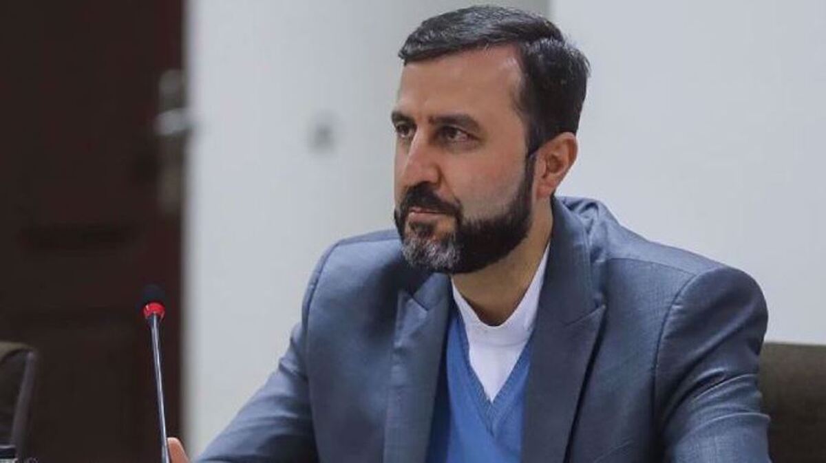 Gharibabadi: Iran to respond to new resolution with ‘fundamental review’ of policies