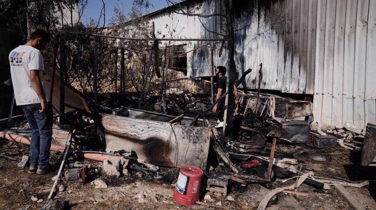 OIC denounces escalating Israeli settler violence in occupied West Bank