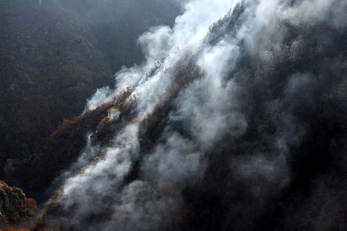 Iran brings northern wildfires under control
