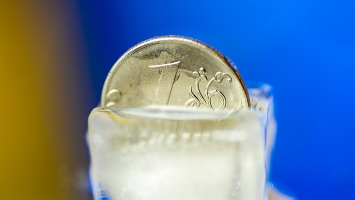 Media: EU officials fear IMF could pull plug on Ukraine