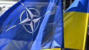 CNN: NATO could bar Ukraine from membership