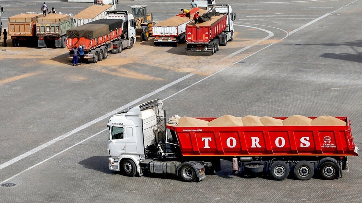 IRICA: Iran’s wheat imports at $424 mln in Apr-Oct