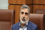 Kamalvandi: IAEA has inspected unbombed sites in Iran