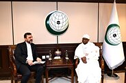 Gharibabadi meets with OIC SG in Riyadh to discuss Gaza