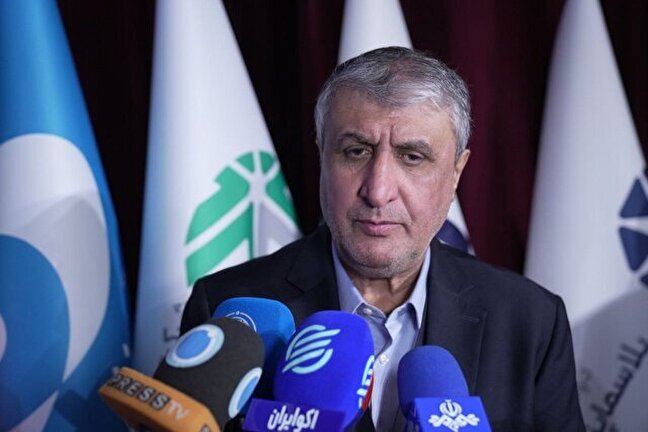 Eslami: Iran Won’t Respond to Political Pressure to Inspect Bombed Nuclear Sites