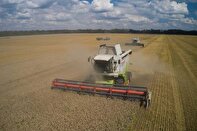 Toxic 'forever chemicals' detected in breakfast cereals across EU