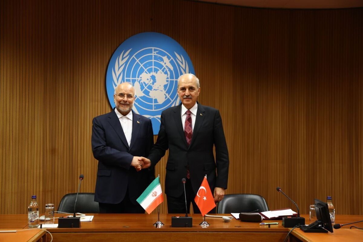 Iran, Turkey parliament speakers call for expansion of ties