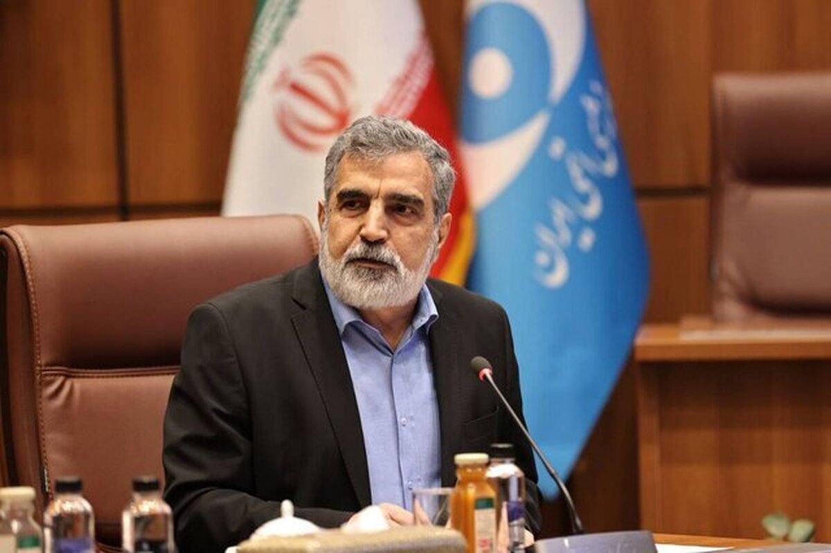 Kamalvandi: US opposes resolution banning attacks on nuclear facilities