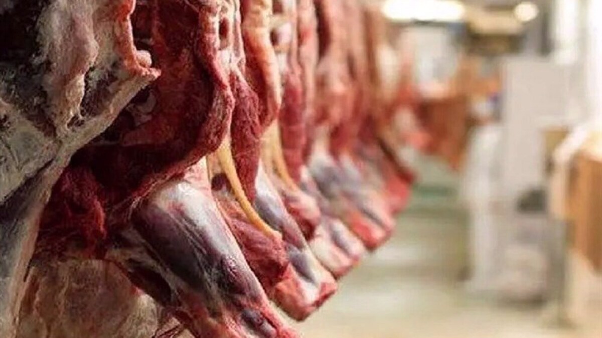 Iran’s domestic meat supply up 28% y/y in August
