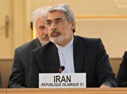 Bahreini: Iran to never give up rights to peaceful uranium enrichment