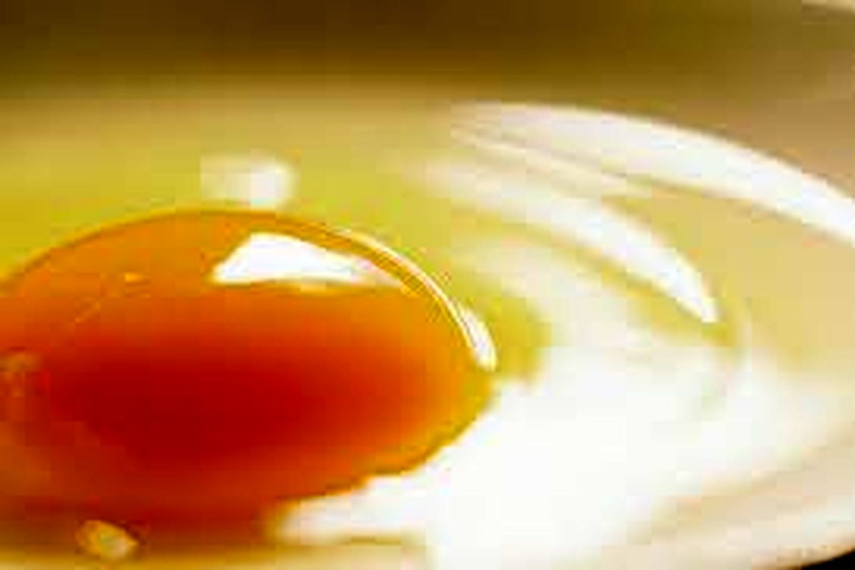 تأثیر سفیده تخم مرغ بر فشار خون