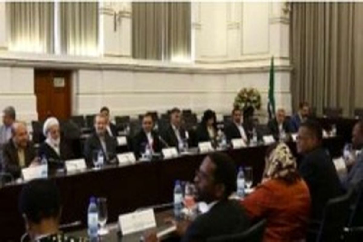 رییس مجلس بر توسعه روابط دوکشور ایران و آفریقای جنوبی تاکید کرد