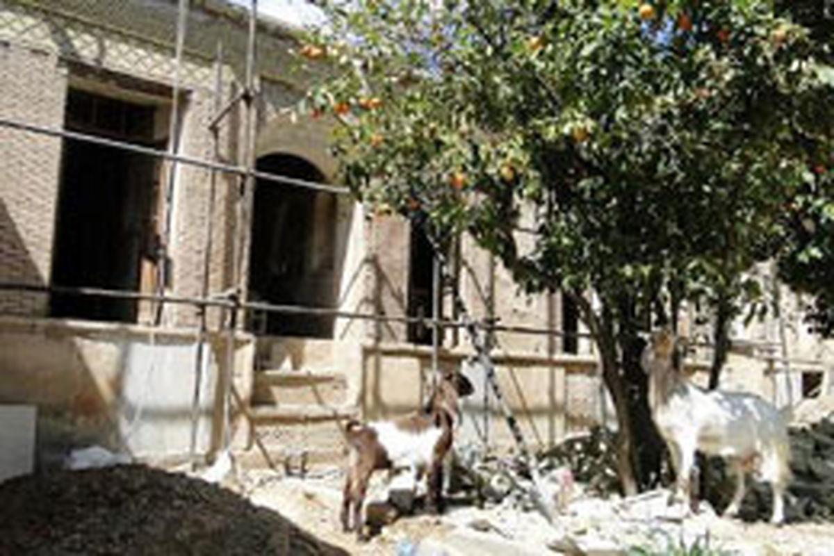 در ۸ ماه گذشته میراثمان ۸۰سال به جلو رفت