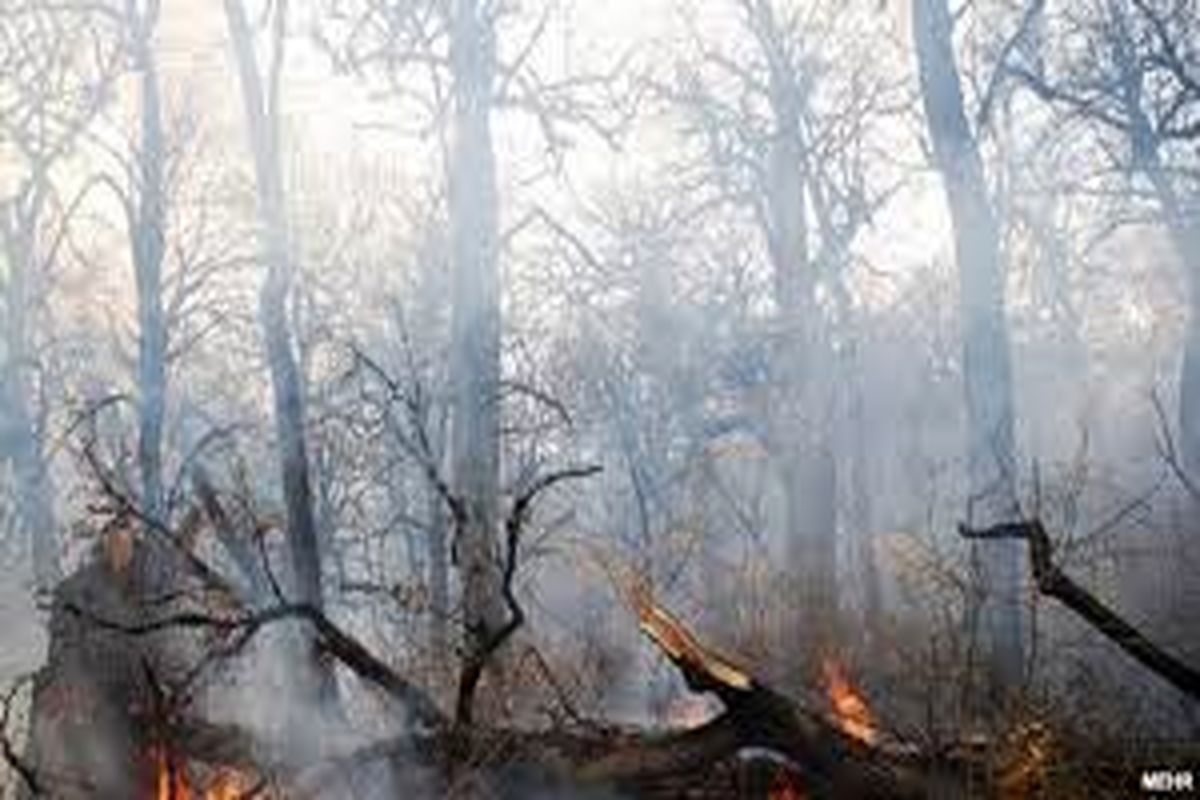 هواشناسی گلستان درباره احتمال آتش سوزی در جنگل هشدار داد