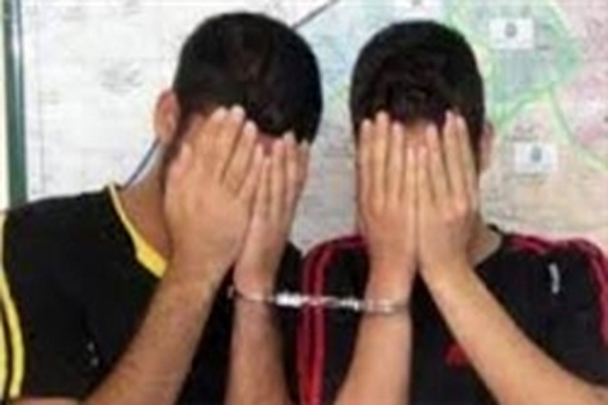 بازداشت ۲ سارق حرفه خانه های منطقه بهارستان