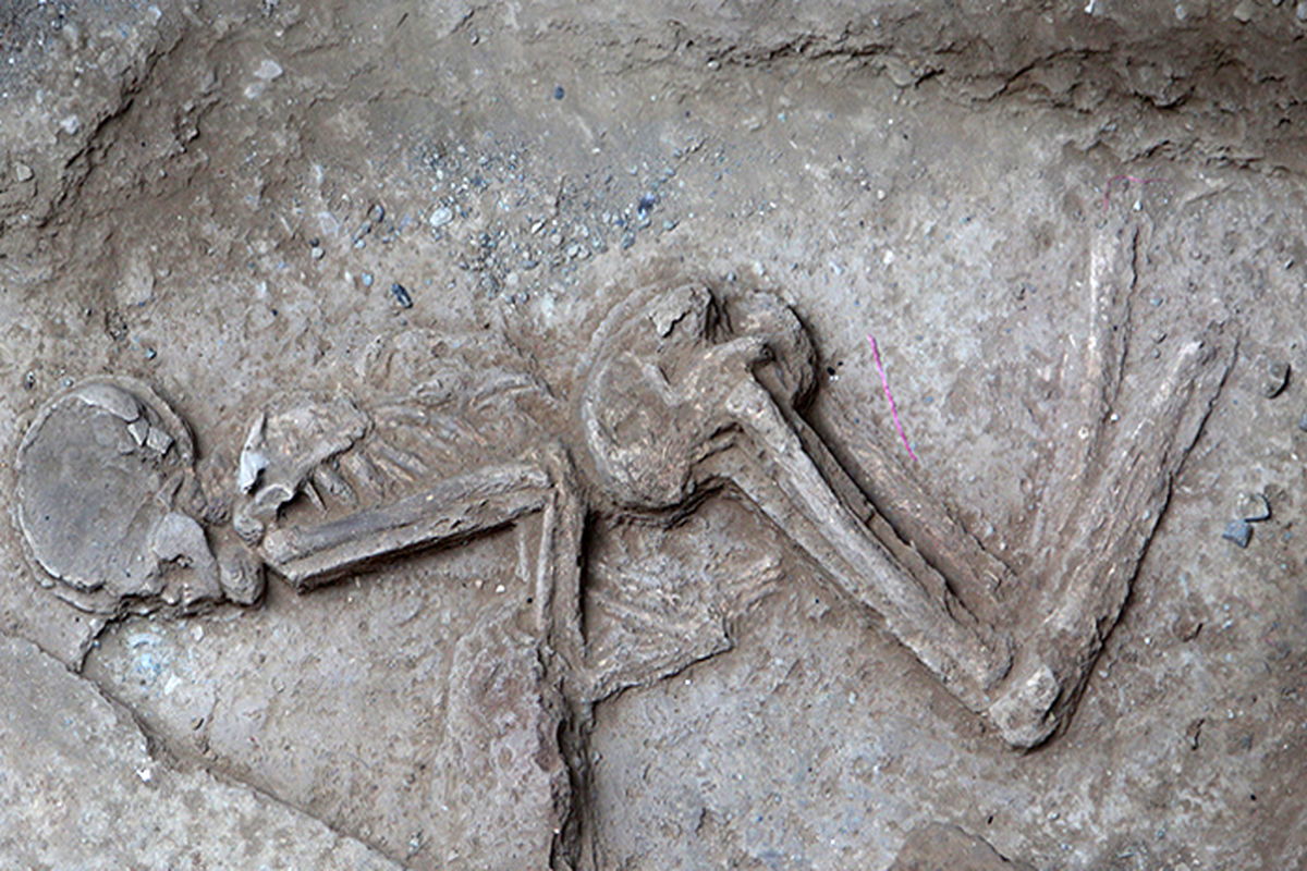 کشف دومین اسکلت ۷۰۰۰ ساله تهران