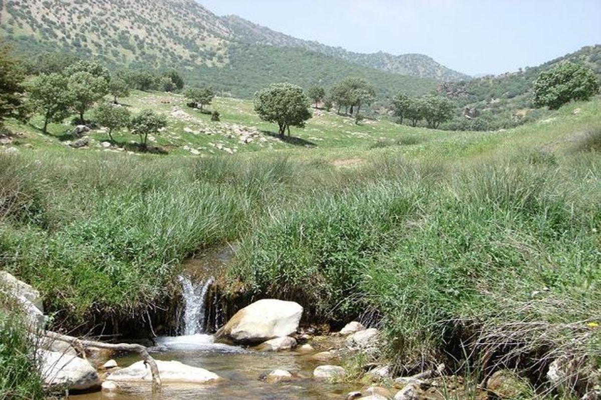 اقلیم و طبیعت بکر لرستان خواستگاه گونه‌های جانوری خاص و نایاب