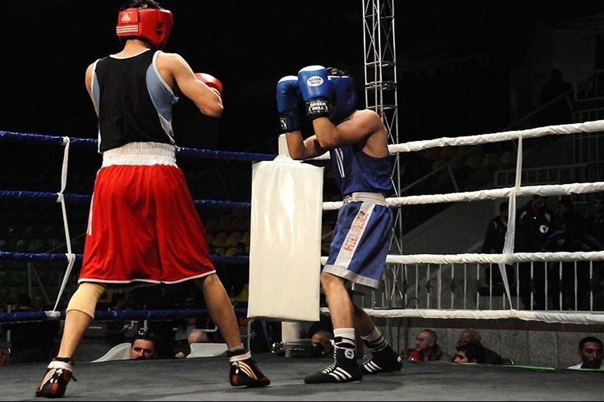 قهرمانان بوکس مشخص شدند