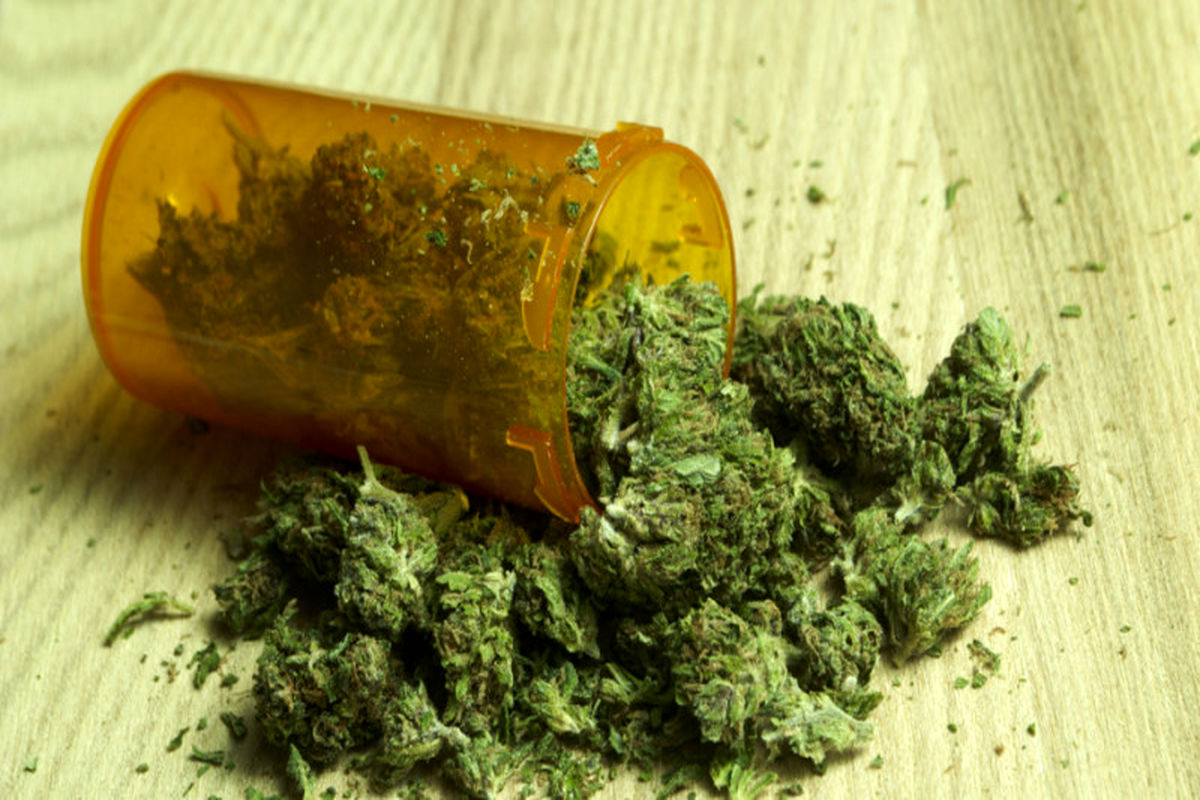 ماریجوانا در صدر لیست مواد مخدر کشف شده