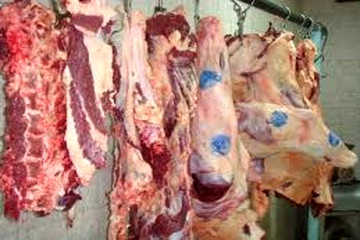 صادرات ۳۸۰ تن گوشت قرمز از همدان به حارج از کشور
