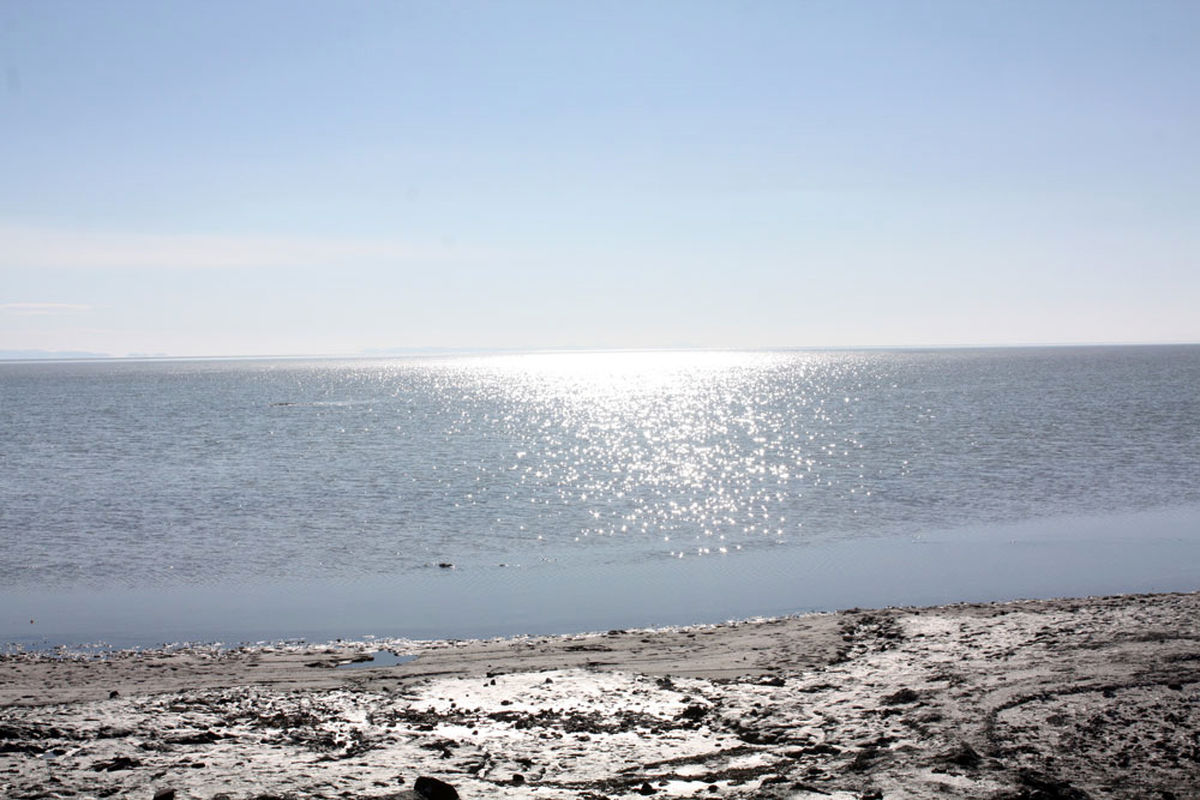 آب سد بوکان هم به سمت دریاچه ارومیه رها شد
