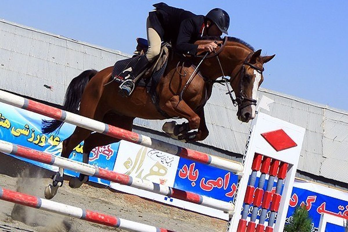 محمد زرین با اسب سولو قهرمان شد