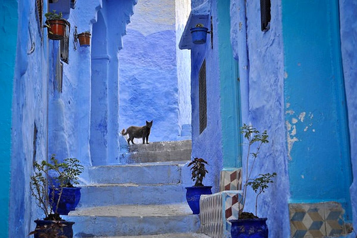 شهر تاریخی و زیبای آبی در مراکش
