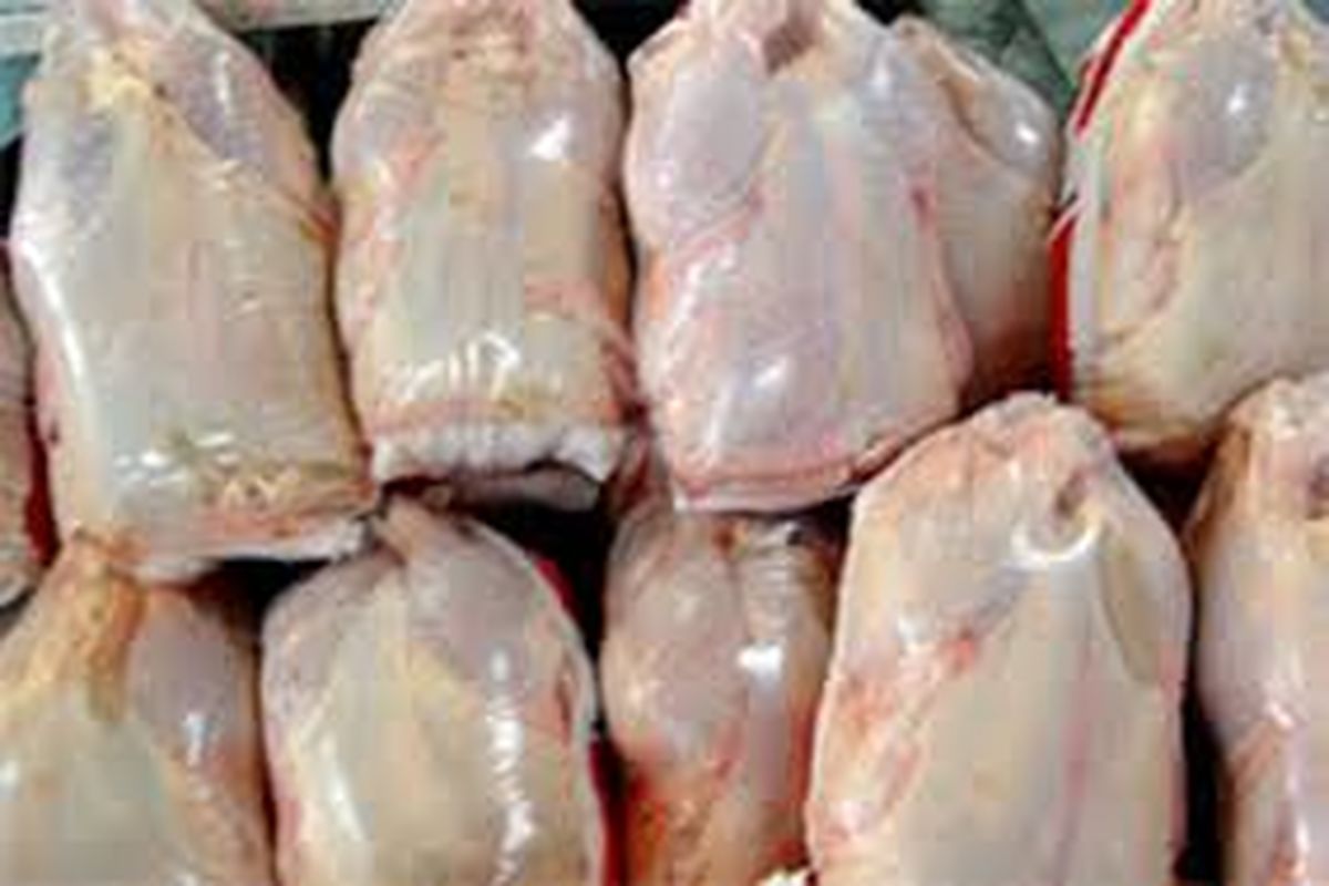 افزایش ۱۷۰۰ تنی صادرات گوشت مرغ منجمد از استان به سایر کشورها