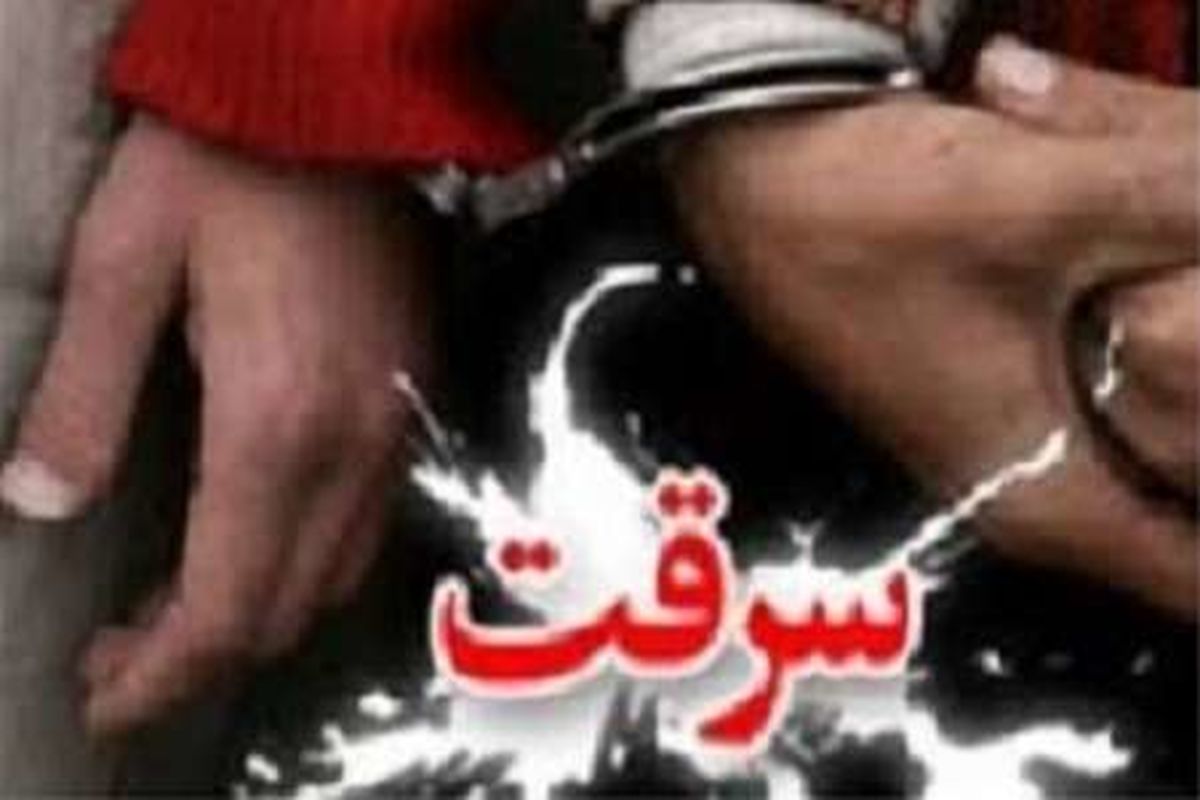 کشف دو خودرو سرقتی و دستگیری دو سارق در کرمان