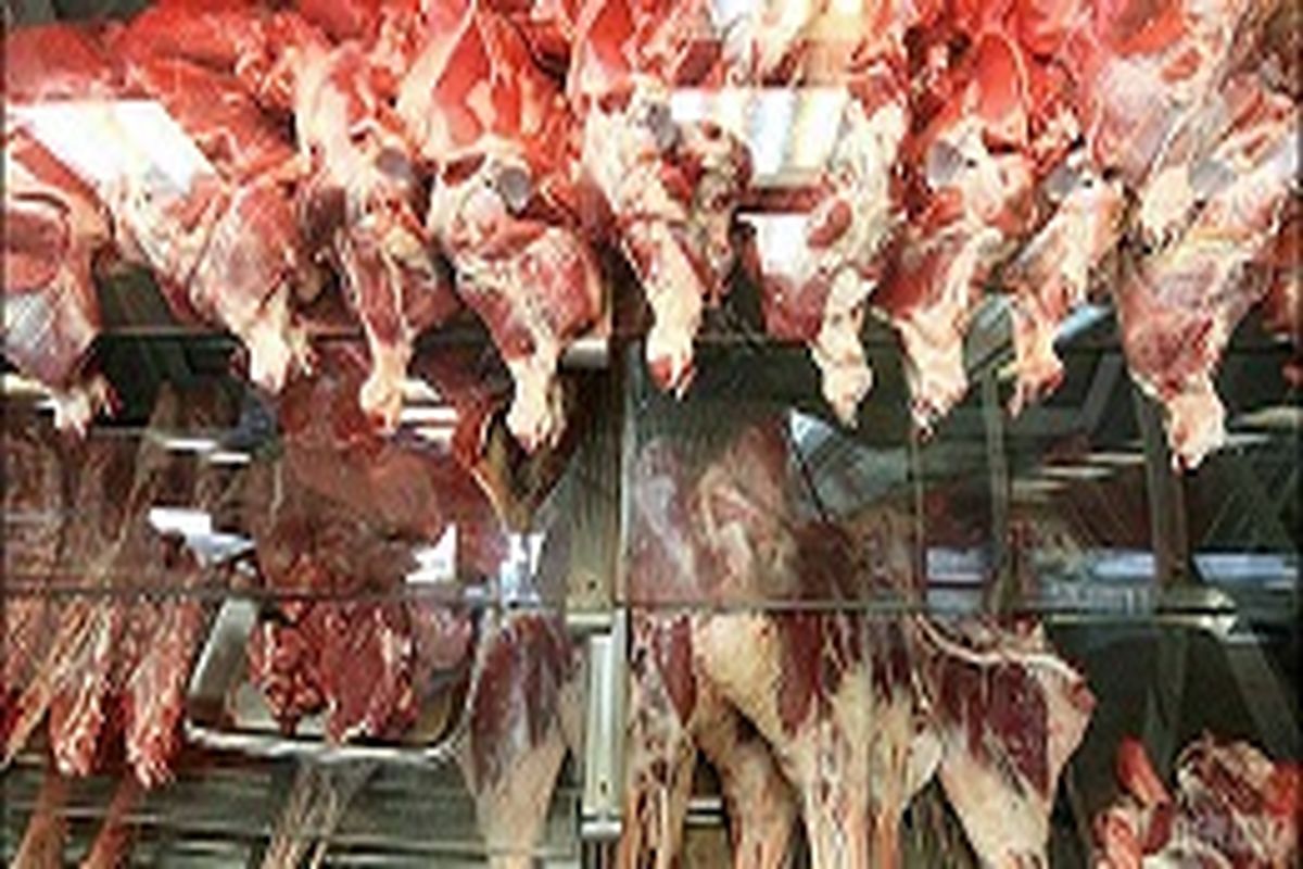 ۷۰ درصد گوشت قرمز تولیدی خراسان رضوی مربوط به دام سبک است