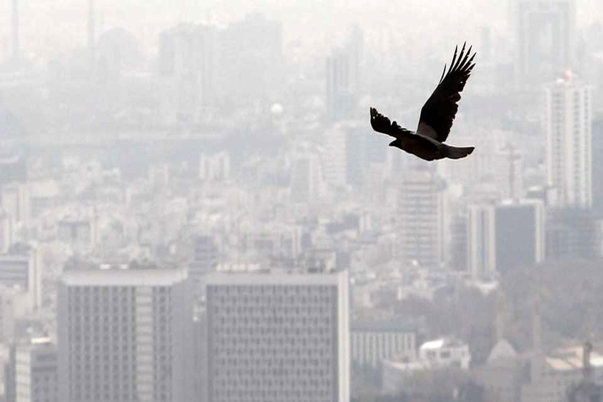 شهرداری تهران برای کاهش آلودگی هوا برنامه دارد