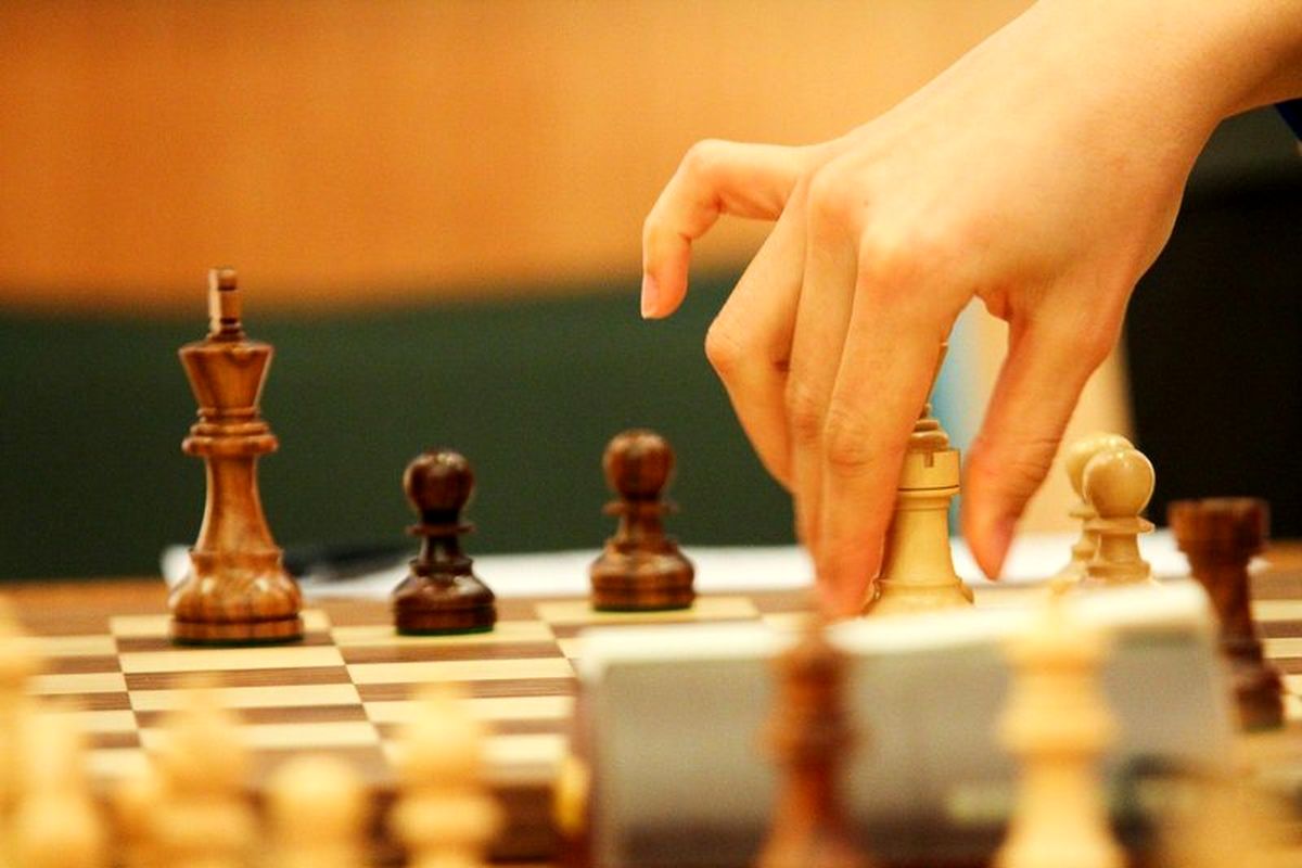 بانوان و آقایان شطرنج باز مشخص شدند