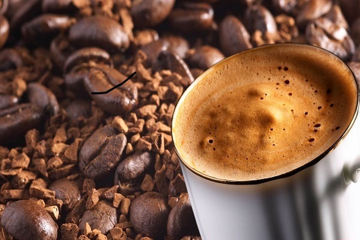گران ترین قهوه جهان از مدفوع این حیوان بدست می آید!