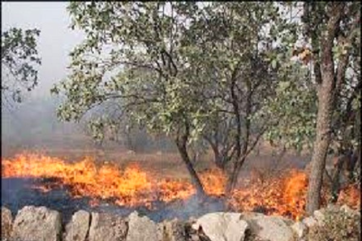 آتش‌سوزی در جنگل‌های کهگیلویه و بویراحمد
