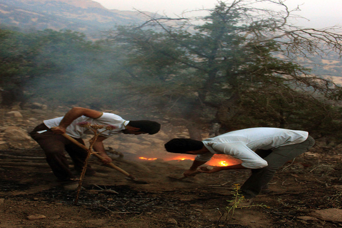 آتش سوزی گسترده در منطقه حفاظت شده پلنگ دره استان قم مهار شد