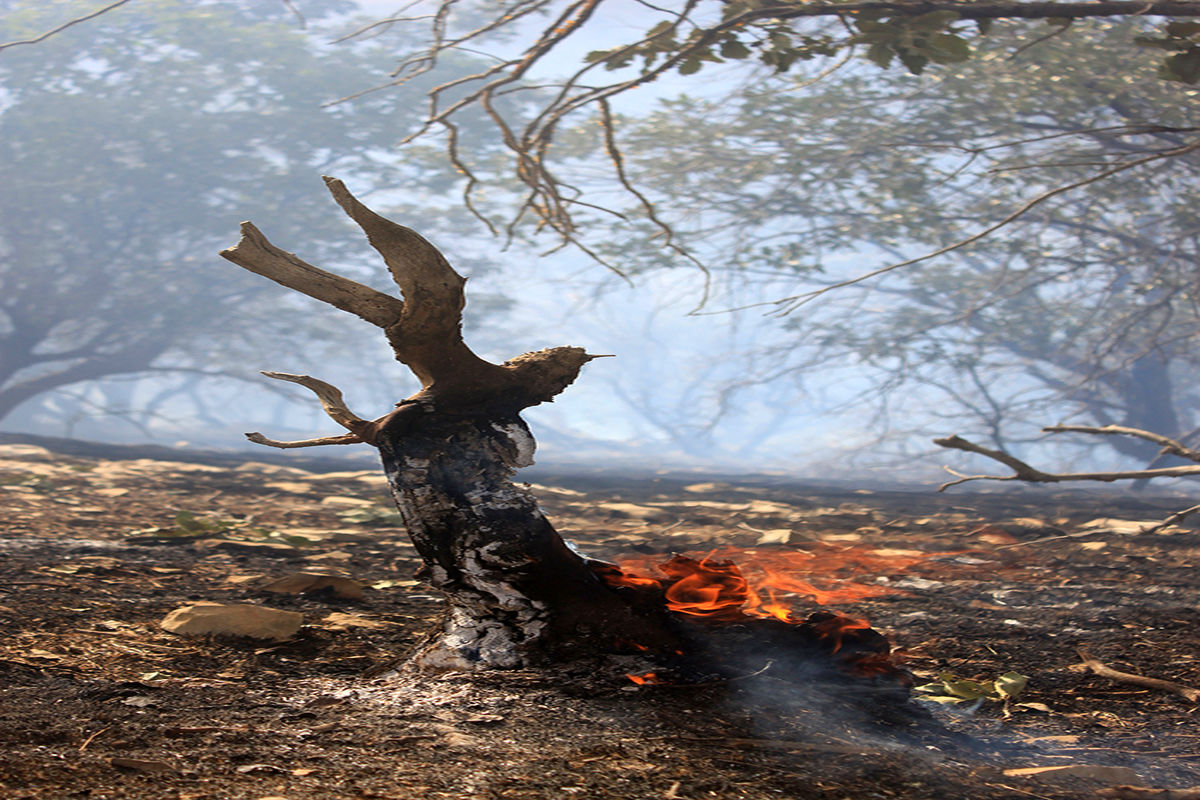 آتش دوباره به جان جنگلها و مراتع پلدختر افتاد